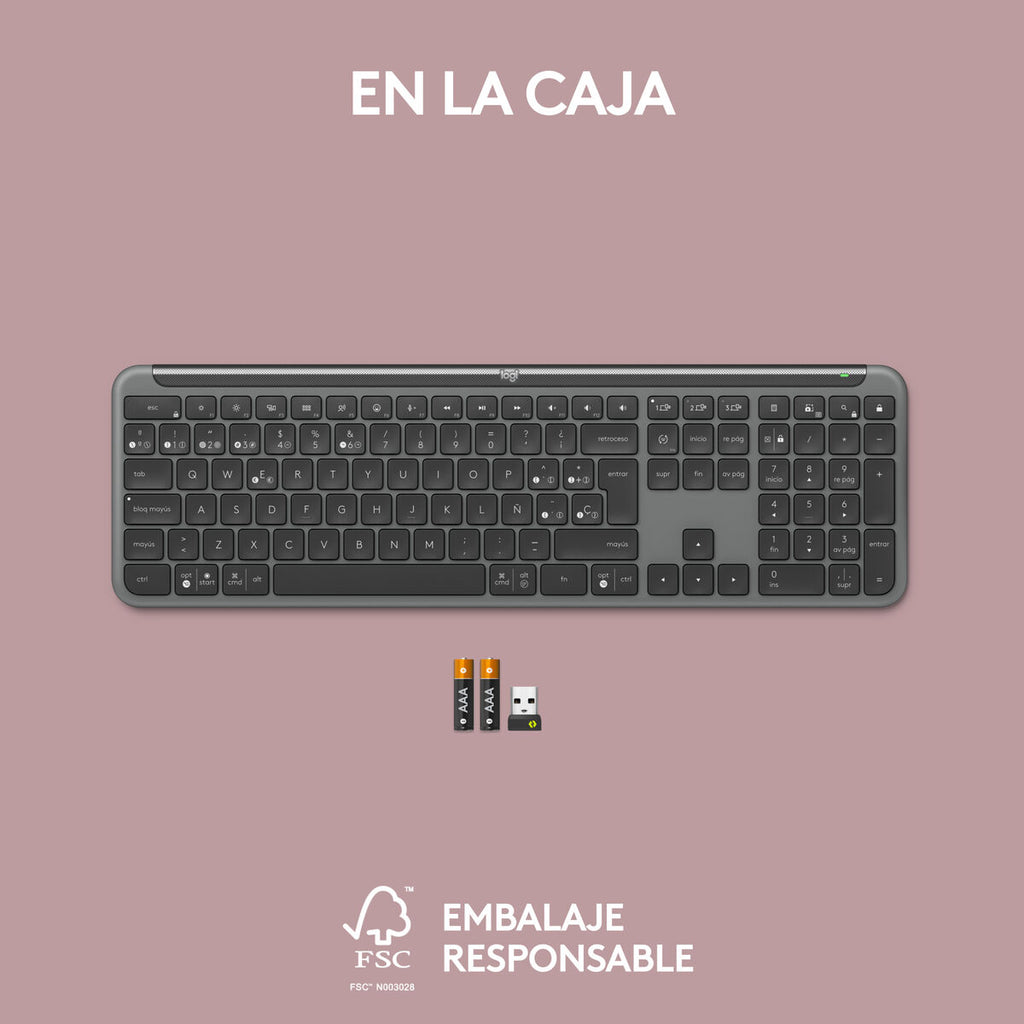 Wireless Keyboard Logitech 920-012455 Graphite QWERTY