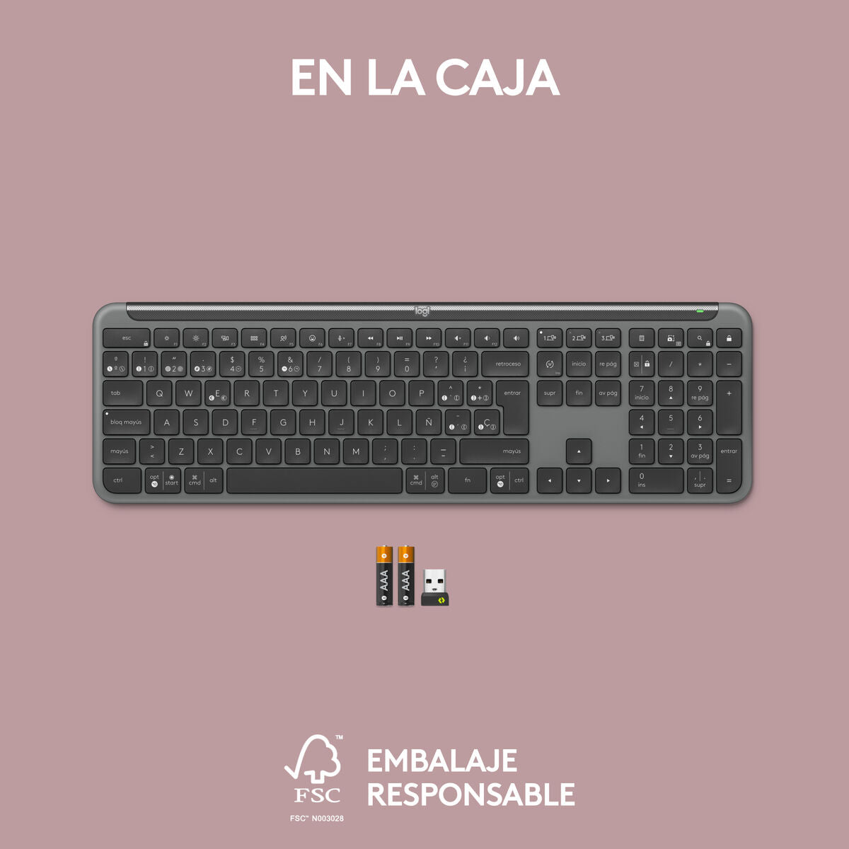 Wireless Keyboard Logitech 920-012455 Graphite QWERTY